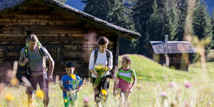 Wandern und Blumenpflücken auf Ganeu, Vorarlberg | © Montafon Tourismus GmbH Schruns, Daniel Zangerl