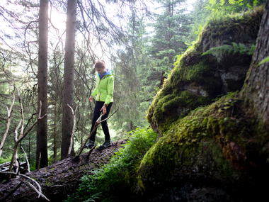 © Stefan Kothenr Photography