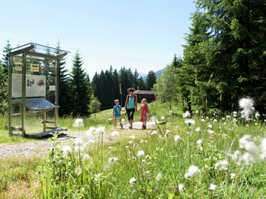 © SAELY PATRICK PHOTOGRAPHY