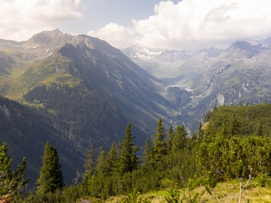 © Stefan Michael Kothner;www.stefankothner.at