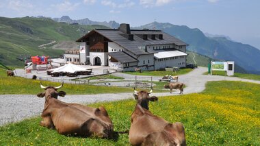© SilvrettAtelier Montafon Roland Haas