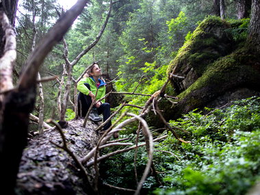 © Stefan Kothenr Photography