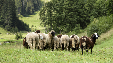 © SAELY PATRICK PHOTOGRAPHY