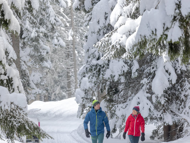 © Stefan Michael Kothner;www.stefankothner.at