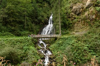 © SAELY PATRICK PHOTOGRAPHY