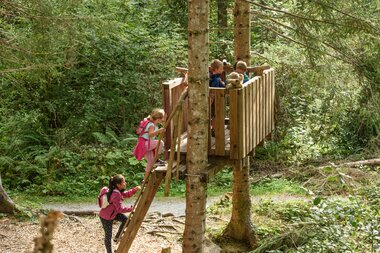 © SAELY PATRICK PHOTOGRAPHY