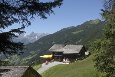 © SAELY PATRICK PHOTOGRAPHY