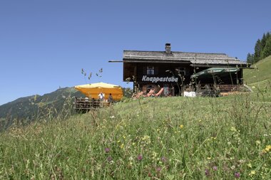 © SAELY PATRICK PHOTOGRAPHY