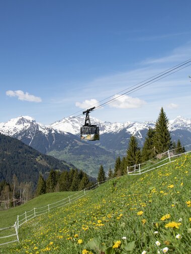 © PATRICK SAELY PHOTOGRAPHY