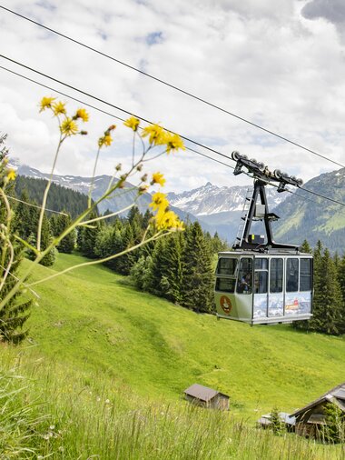 © PATRICK SAELY PHOTOGRAPHY