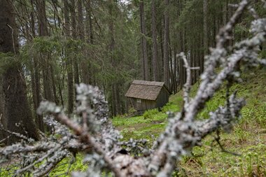 © PATRICK SAELY PHOTOGRAPHY