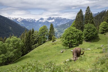 © PATRICK SAELY PHOTOGRAPHY