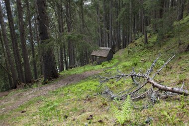 © PATRICK SAELY PHOTOGRAPHY