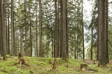 © PATRICK SAELY PHOTOGRAPHY