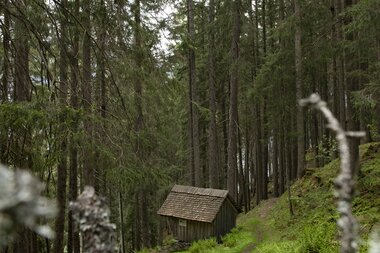 © PATRICK SAELY PHOTOGRAPHY