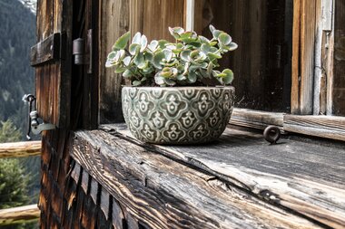 © PATRICK SAELY PHOTOGRAPHY