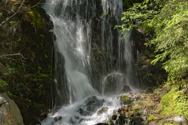 © PATRICK SAELY PHOTOGRAPHY