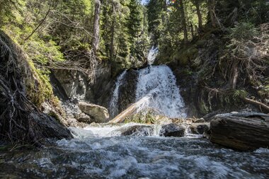 © PATRICK SAELY PHOTOGRAPHY