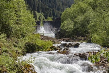 © PATRICK SAELY PHOTOGRAPHY