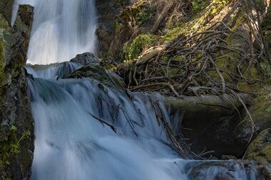 © PATRICK SAELY PHOTOGRAPHY