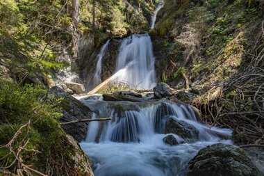 © PATRICK SAELY PHOTOGRAPHY