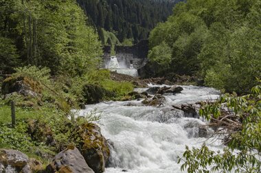 © PATRICK SAELY PHOTOGRAPHY