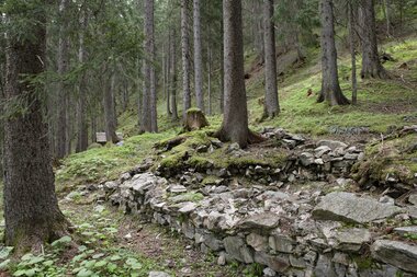 © PATRICK SAELY PHOTOGRAPHY