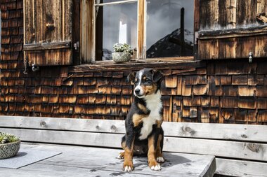 © PATRICK SAELY PHOTOGRAPHY