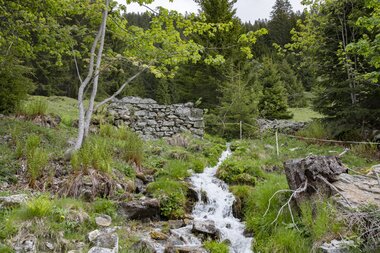 © PATRICK SAELY PHOTOGRAPHY