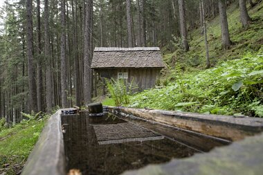 © PATRICK SAELY PHOTOGRAPHY