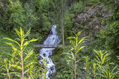 © PATRICK SAELY PHOTOGRAPHY