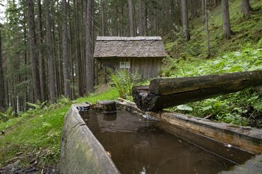 © PATRICK SAELY PHOTOGRAPHY