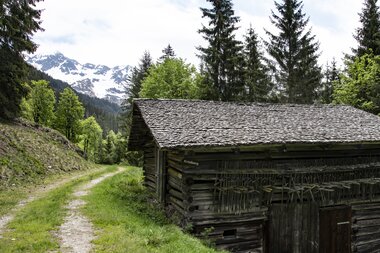 © PATRICK SAELY PHOTOGRAPHY