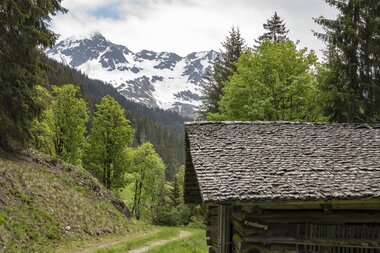 © PATRICK SAELY PHOTOGRAPHY