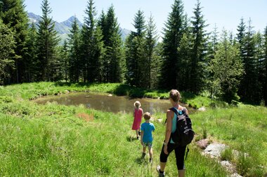 © SAELY PATRICK PHOTOGRAPHY