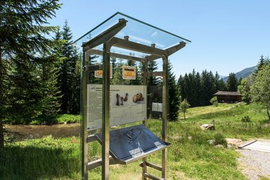 © SAELY PATRICK PHOTOGRAPHY