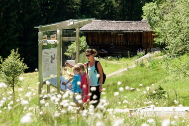 © SAELY PATRICK PHOTOGRAPHY