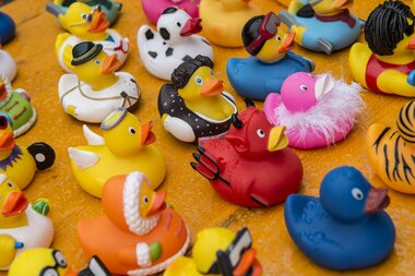 © PATRICK SAELY PHOTOGRAPHY