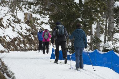 © PATRICK SAELY PHOTOGRAPHY