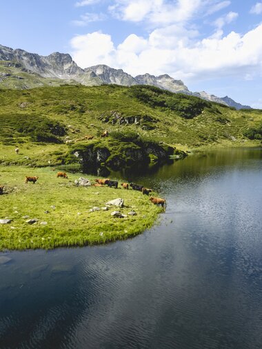 © Stefan Kothner Photography