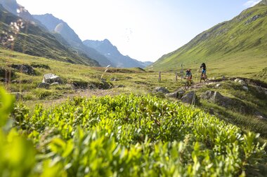 © Stefan Kothner Photography