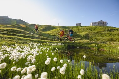 © Stefan Kothner Photography