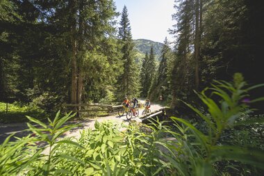 © Stefan Kothner Photography