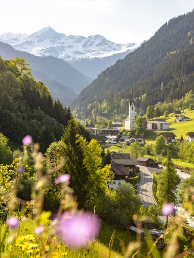 © Stefan Kothenr Photography