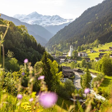 © Stefan Kothenr Photography