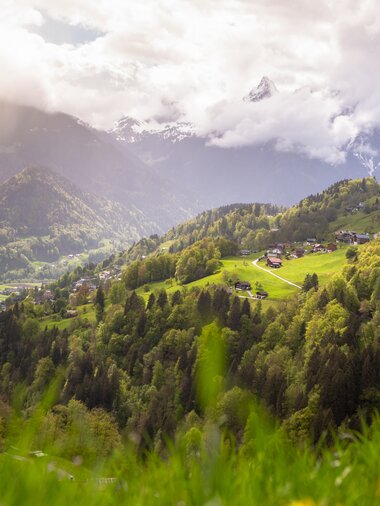 © Stefan Kothenr Photography