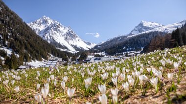 © Stefan Kothenr Photography