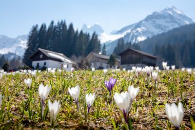 © Stefan Kothenr Photography