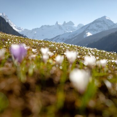 © Stefan Kothenr Photography