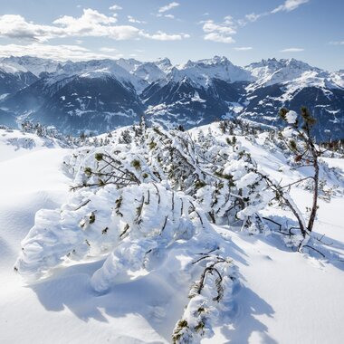 © Stefan Kothenr Photography